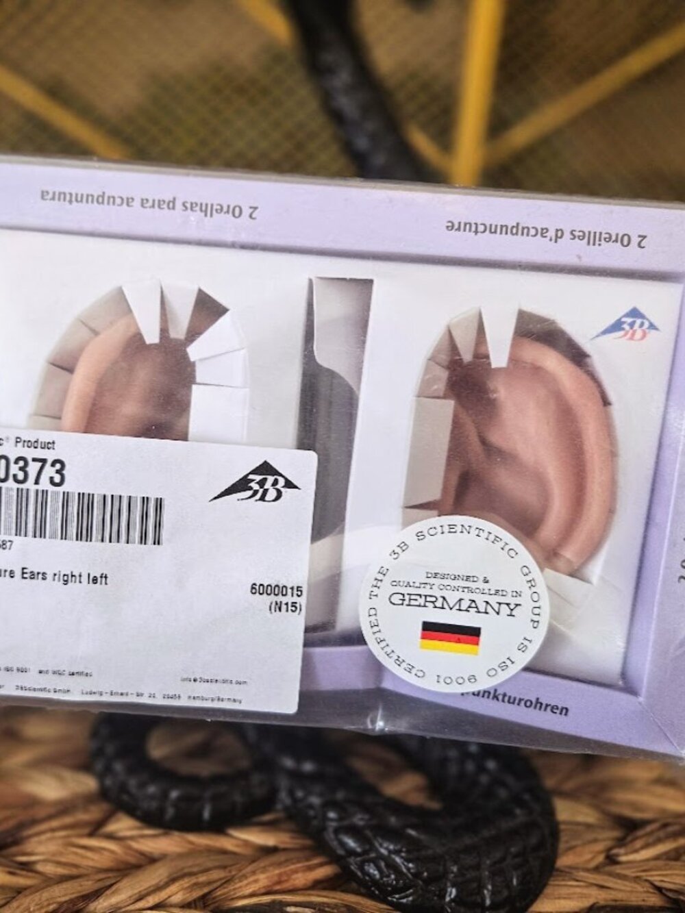 3B Scientific Acupuncture Ears Model Set (Left & Right) - Brand New in Box